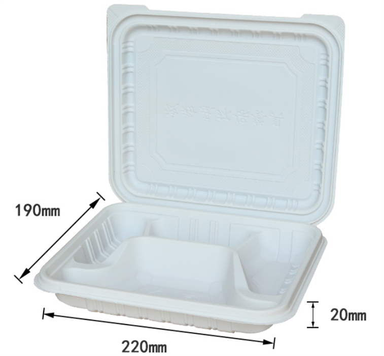 Bio-degradable lunch box from DisposablesInc.com. The best import service in China. Import your disposable items and products from us. 
